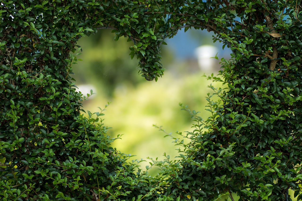 5x leuke ideeën voor in de tuin